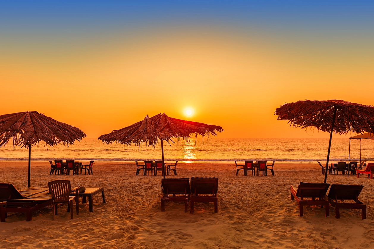 What Lies Beyond Goa’s Beaches? A Wild Trail Through Chorao