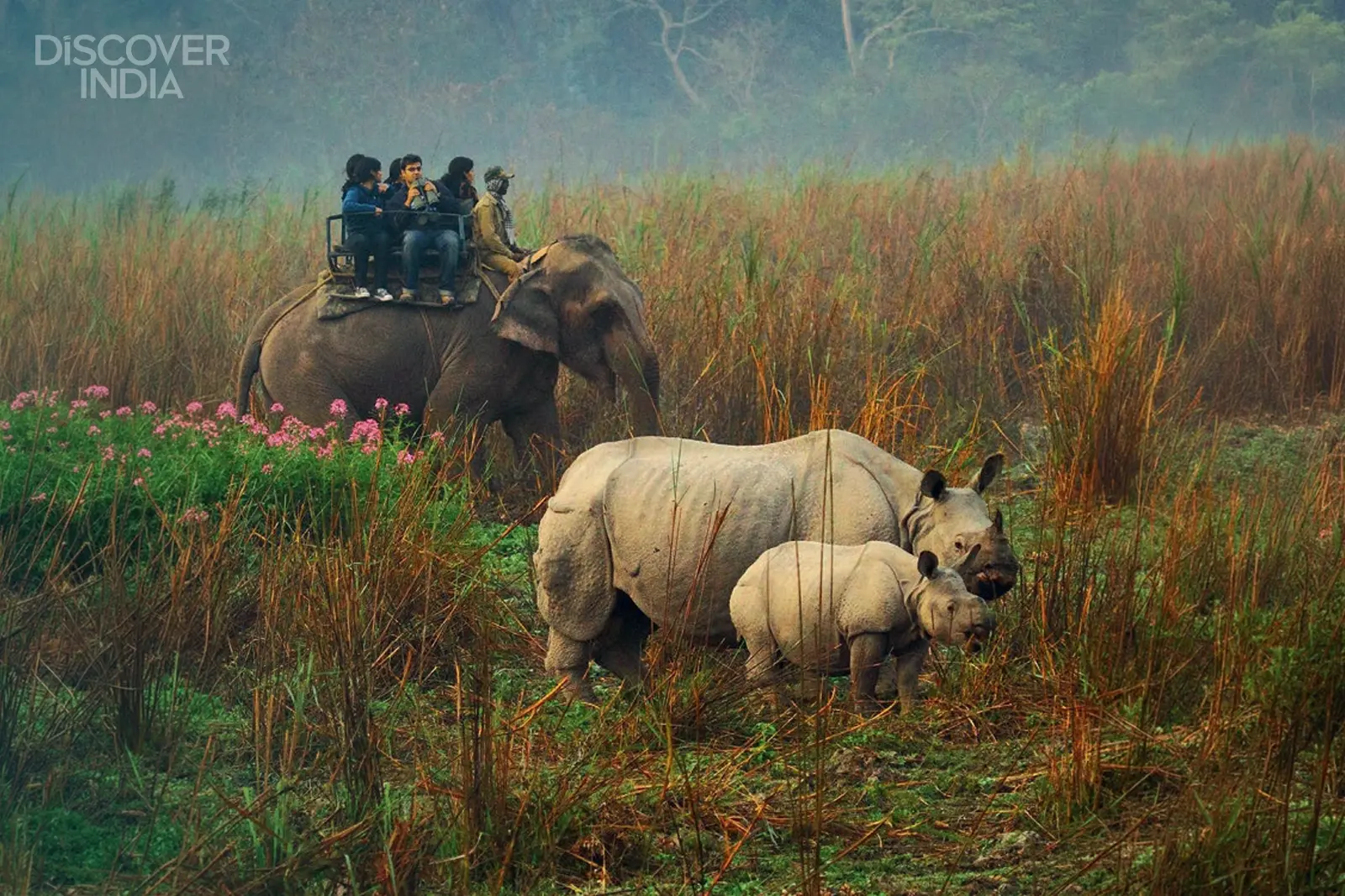 Why is Kaziranga one of India's great wildlife adventures?