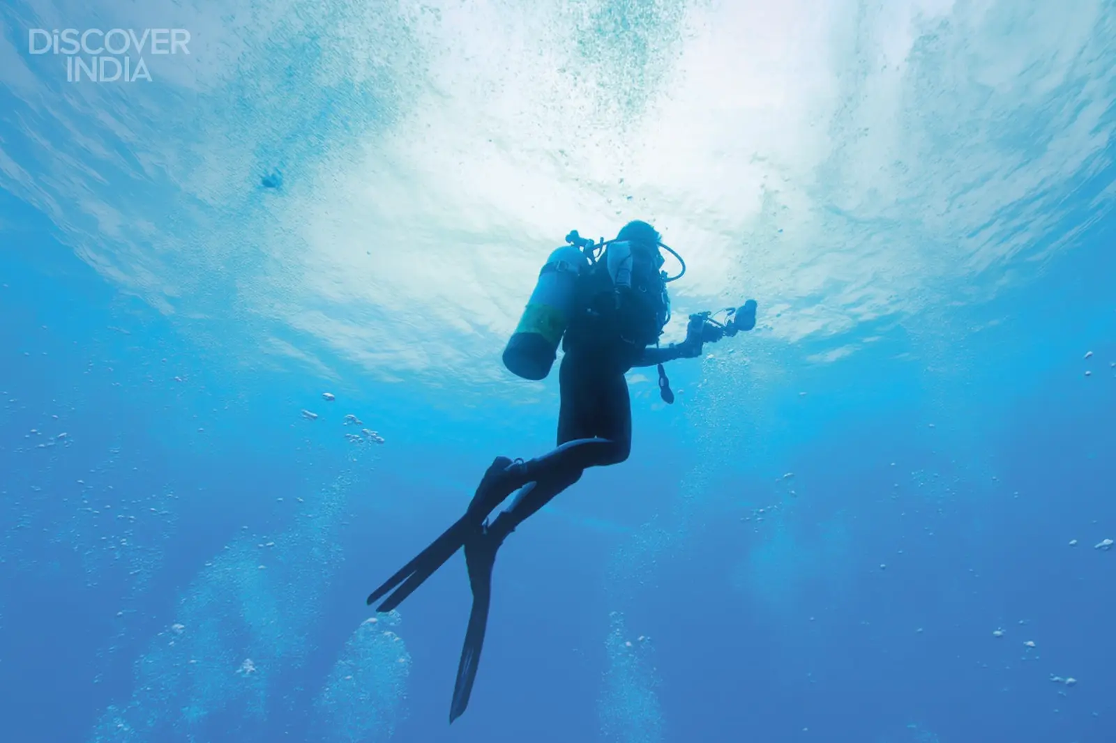 Why should scuba diving in the Andamans be on your adventure list?