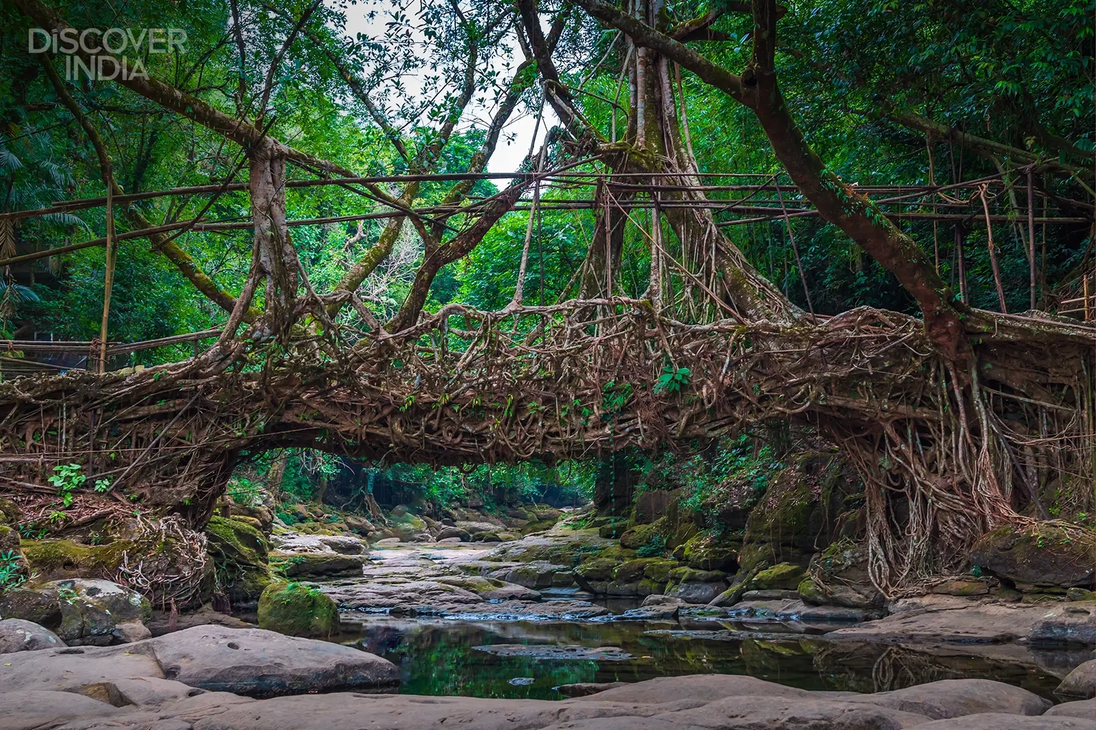 Why should Meghalaya's living-root bridges be on your adventure list?