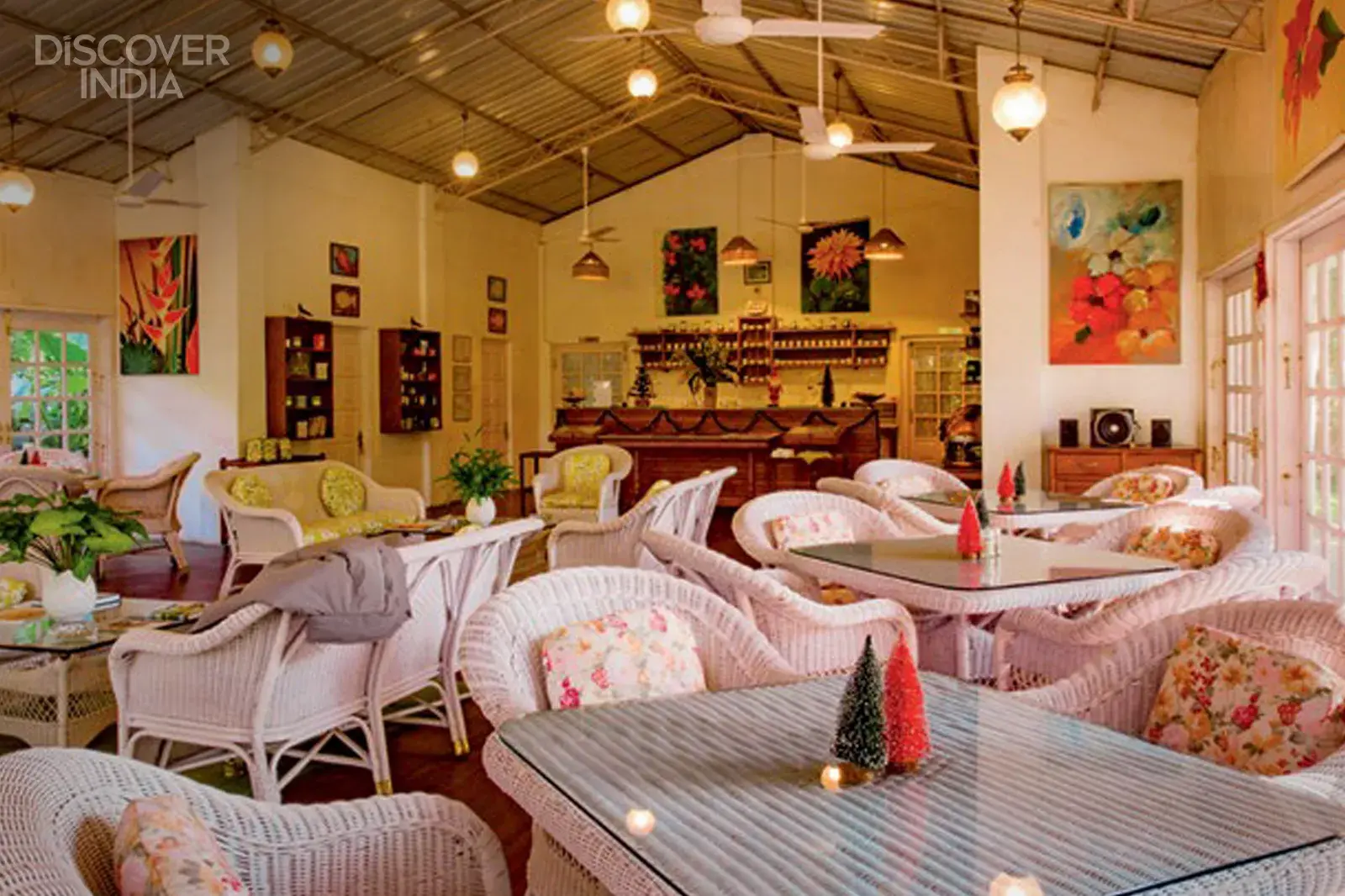 Explore Assam’s Tea Country