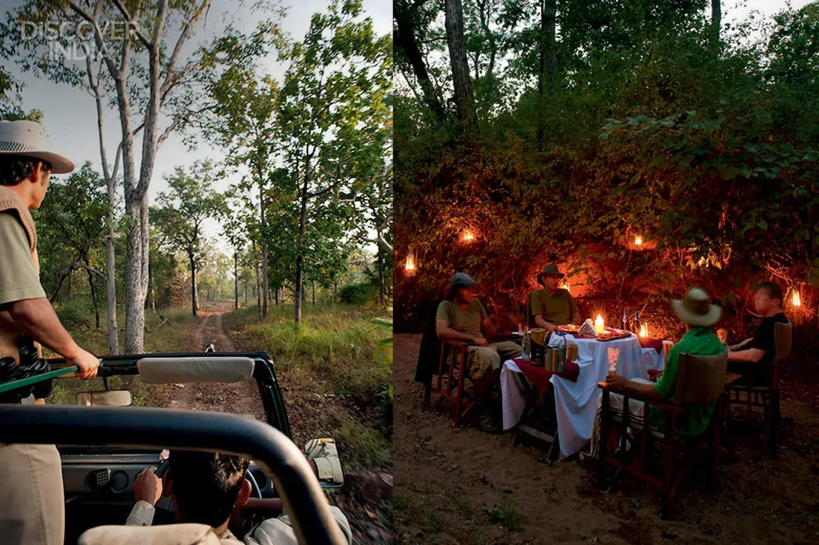 What Makes Satpura a Different Kind of Safari?